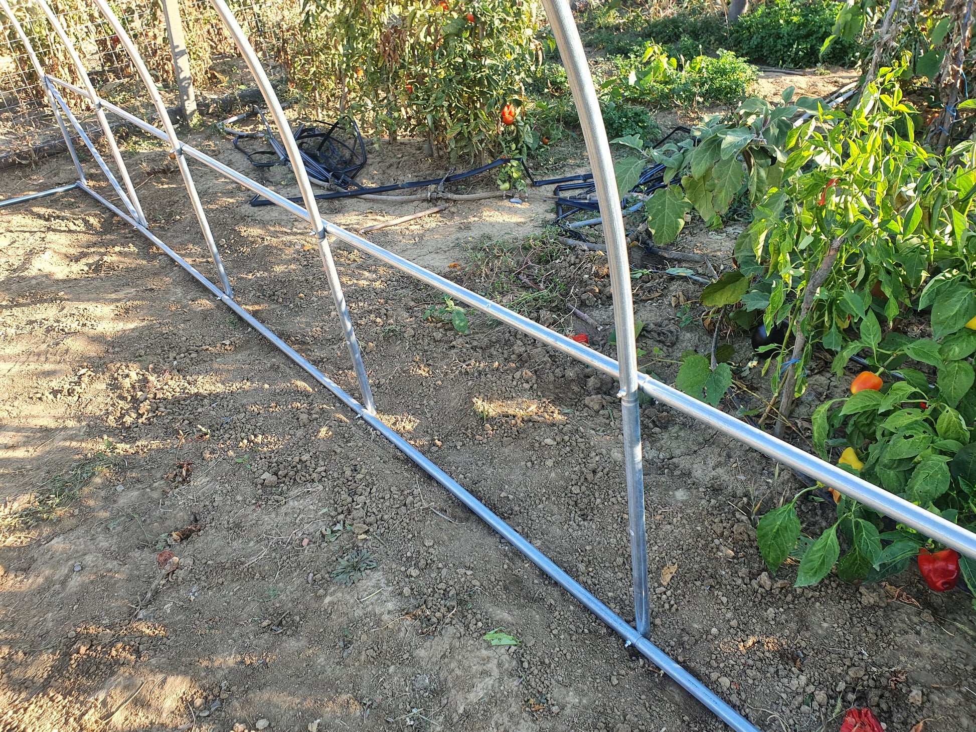 Solar gradina premium Liderman, 200x200x200cm, folie PE 180gr armata si anti UV, structura otel zincat 25mmx1mm, sera cu suprafata 4m2