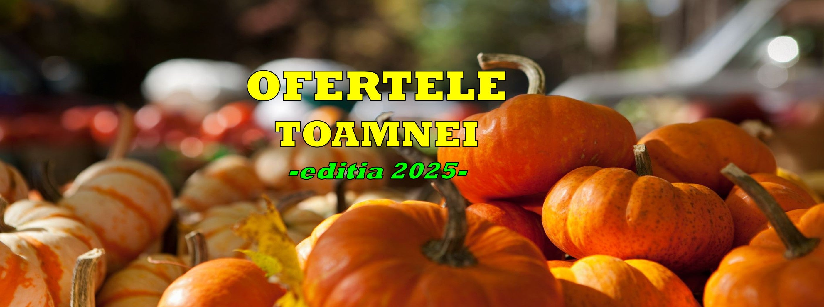 EuroUnelte.ro aduce Ofertele Toamnei anului 2025
