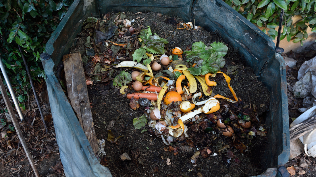 Compost Acasa: Ce Este, Cum se Face &amp; Beneficii