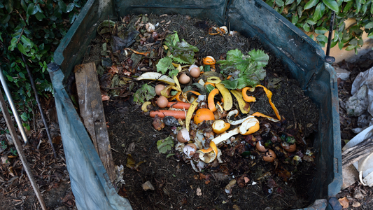 Compost Acasa: Ce Este, Cum se Face &amp; Beneficii