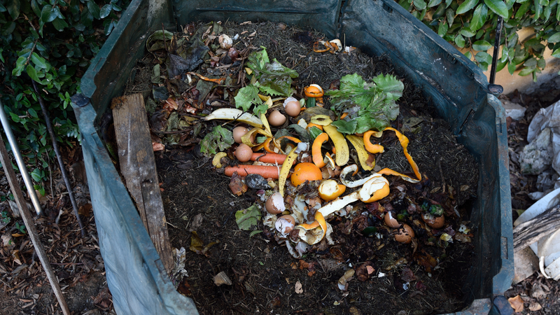 Compost Acasa: Ce Este, Cum se Face &amp; Beneficii