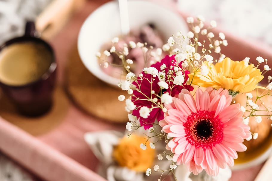 Flori de gradina care infloresc tot anul