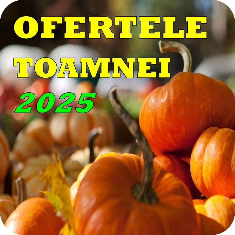 EuroUnelte.ro - Ofertele Momentului ale anului 2025