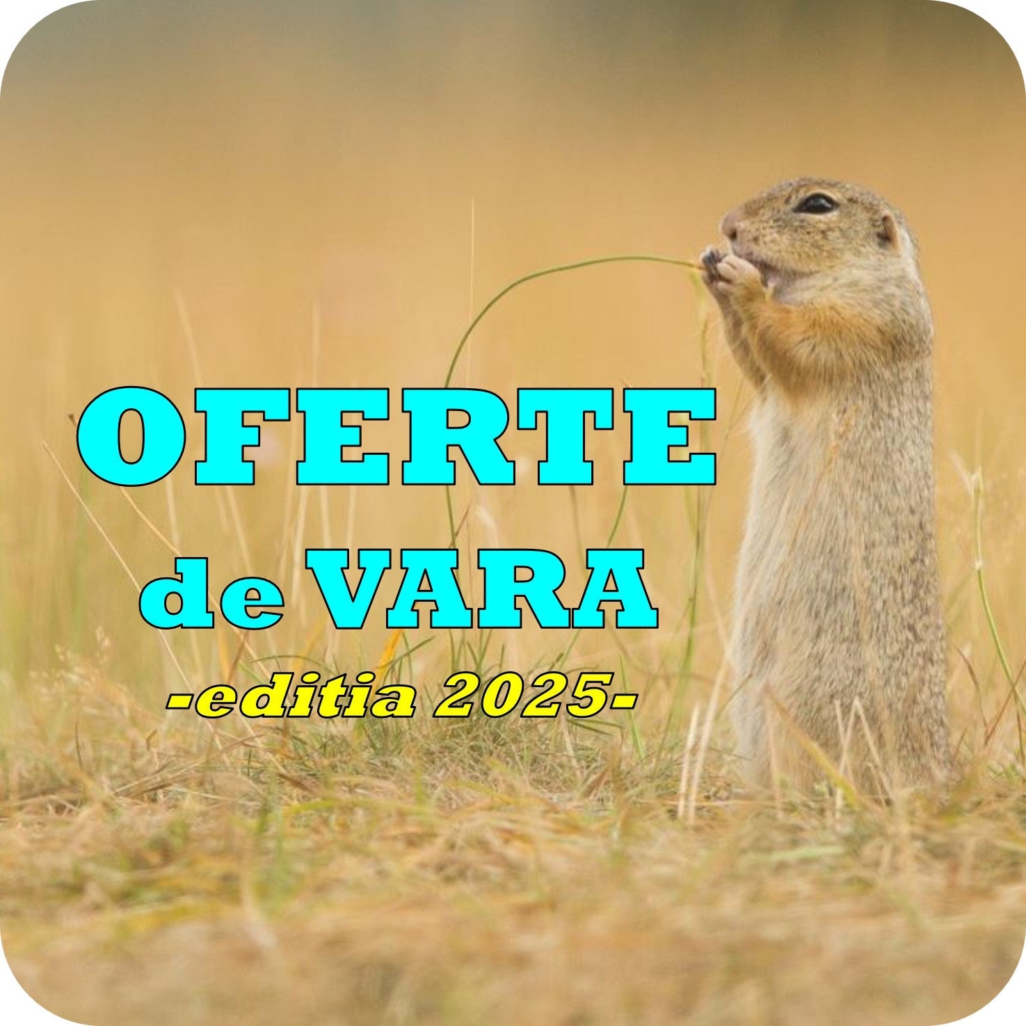 Oferte de Vara editia 2025 la EuroUnelte.ro