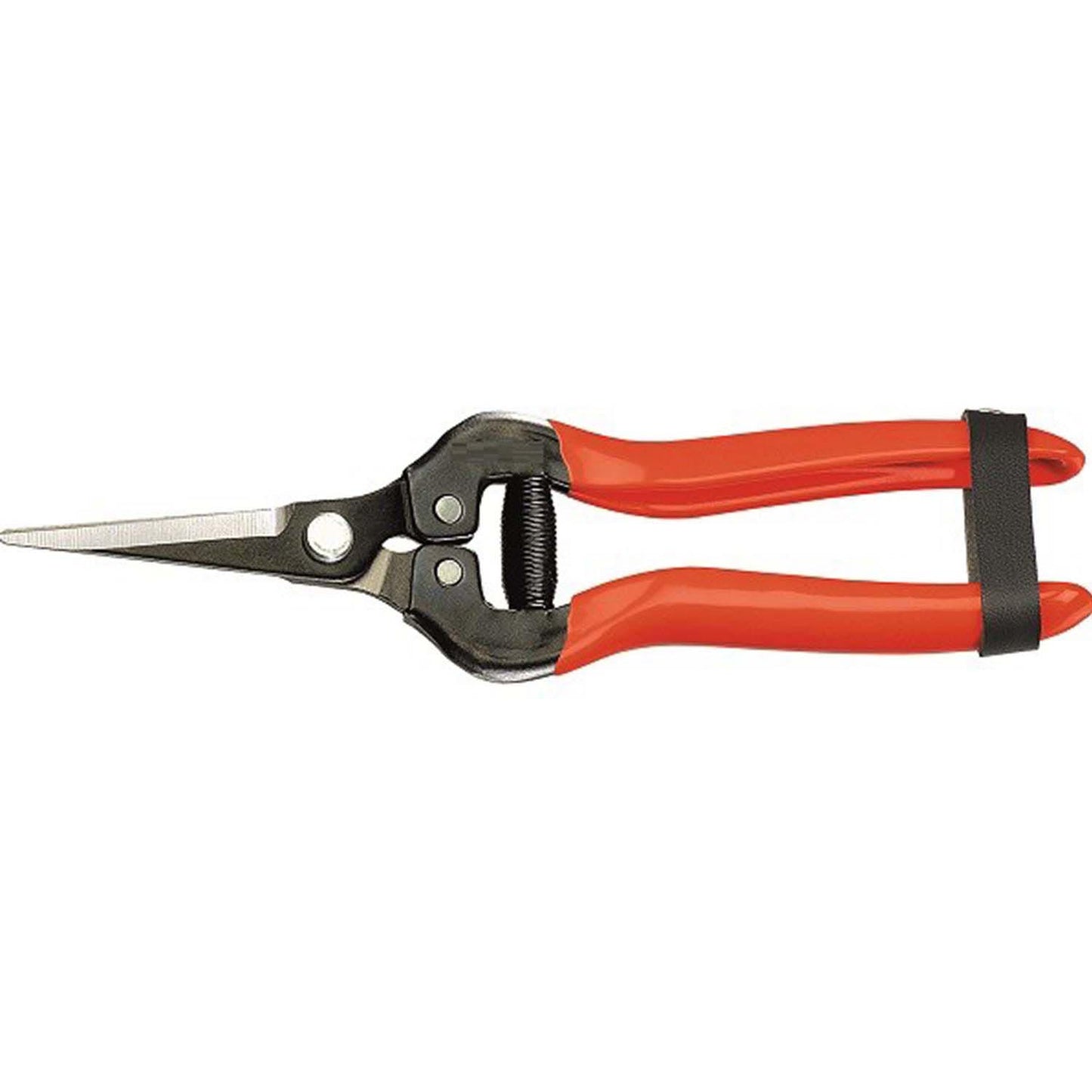Foarfeca de vie cu lama ascutita, 18 cm, Sailhope
