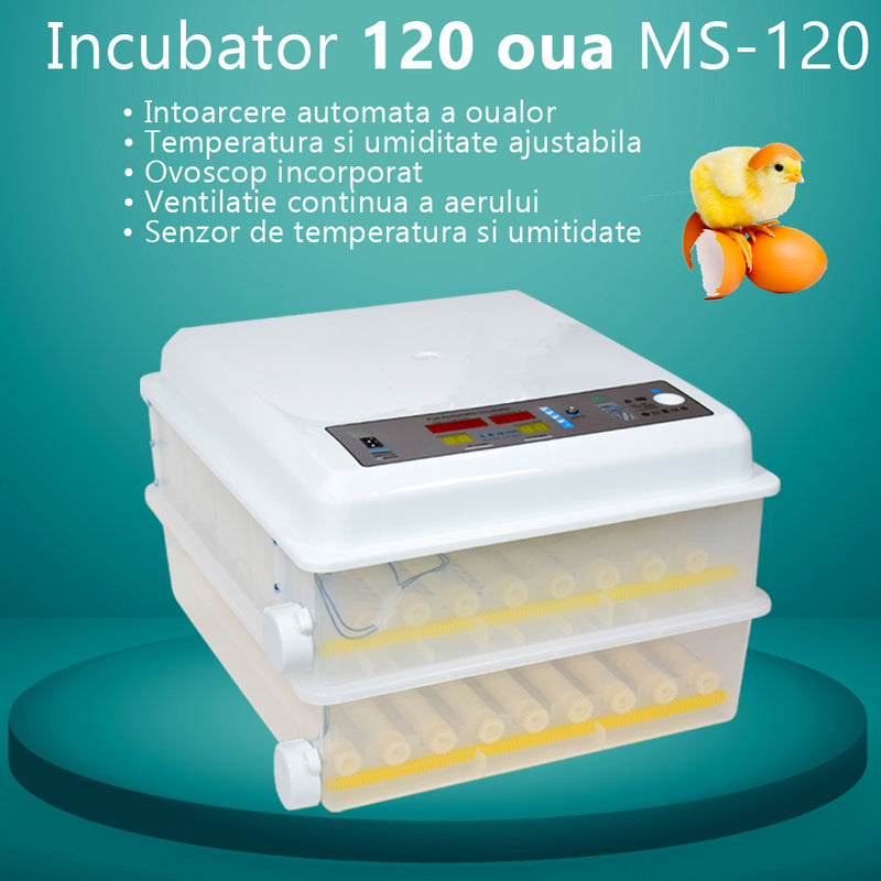 Incubator oua Euro-Tehno MS-120, 120 oua gaina automat, cu 2 nivele, 80W, ovoscop incorporat