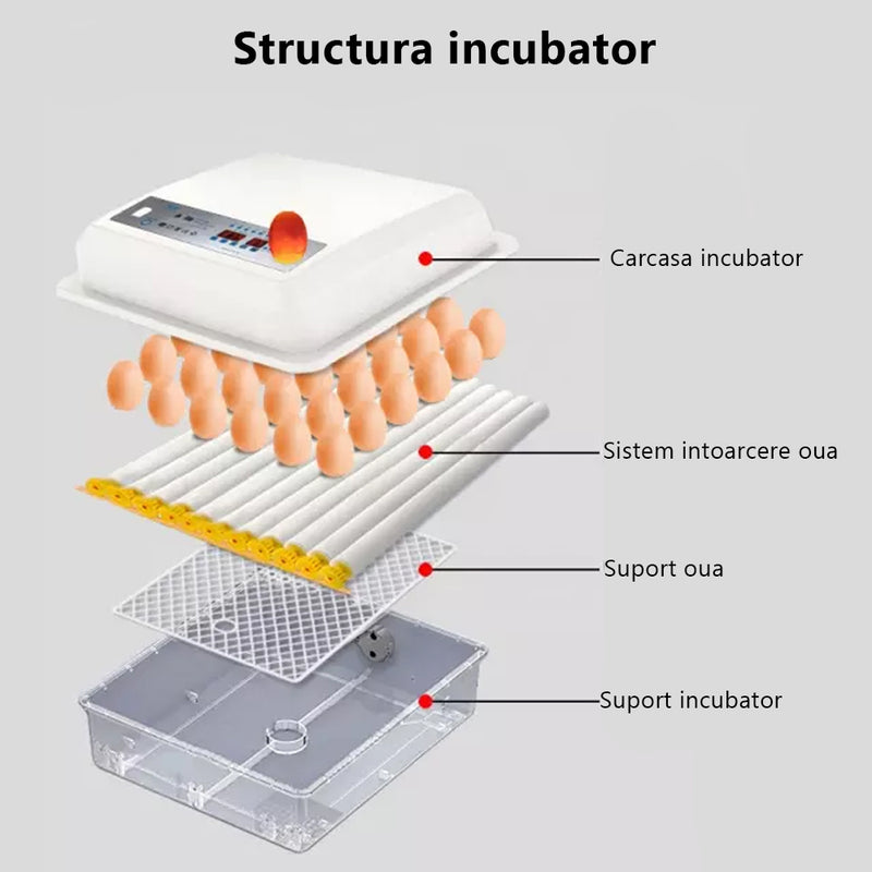 Incubator oua Euro-Tehno MS-120, 120 oua gaina automat, cu 2 nivele, 80W, ovoscop incorporat