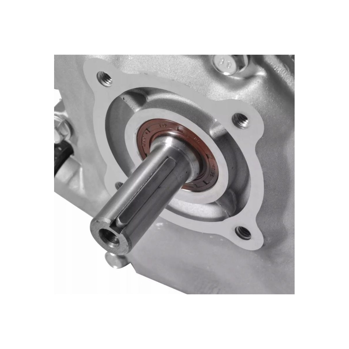 Motor motocultor / uz general Alpin Profi GX160 (168F), 6.5CP, 4 timpi, ax cilindric 20mm